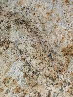 ../photos/Indian granite/frosty gold.JPG